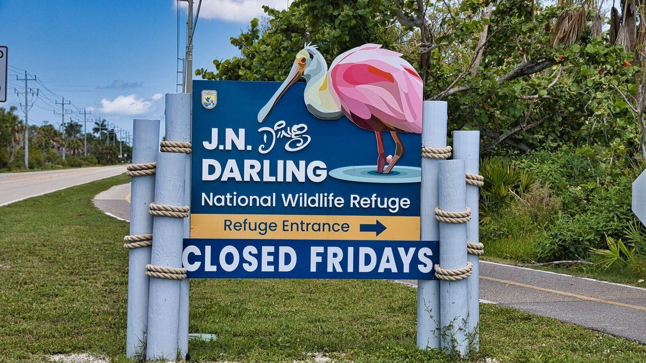 Photo of Others in Sanibel