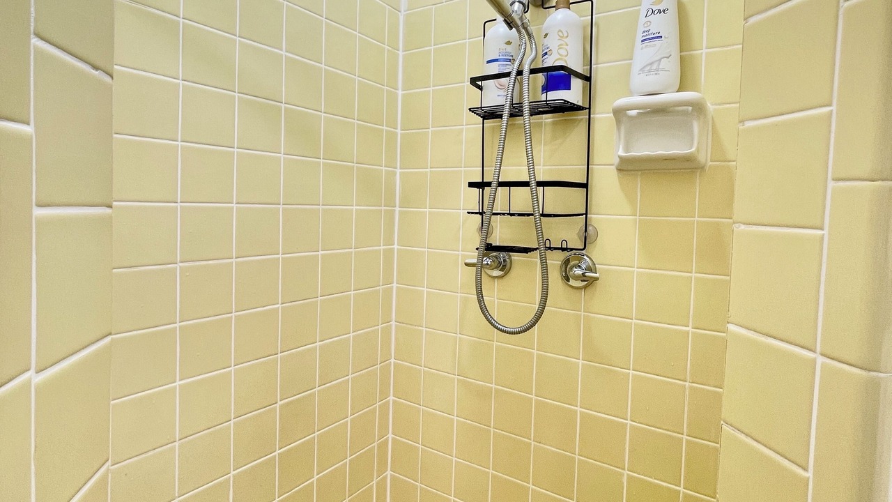 Photo of Bathroom in New Port Richey