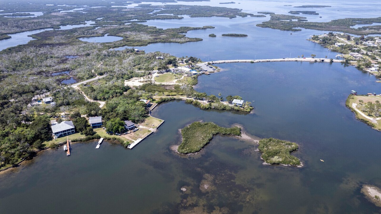 Photo of Others in Crystal River