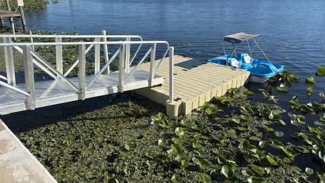 Photo of Others in Lake Clarke Shores