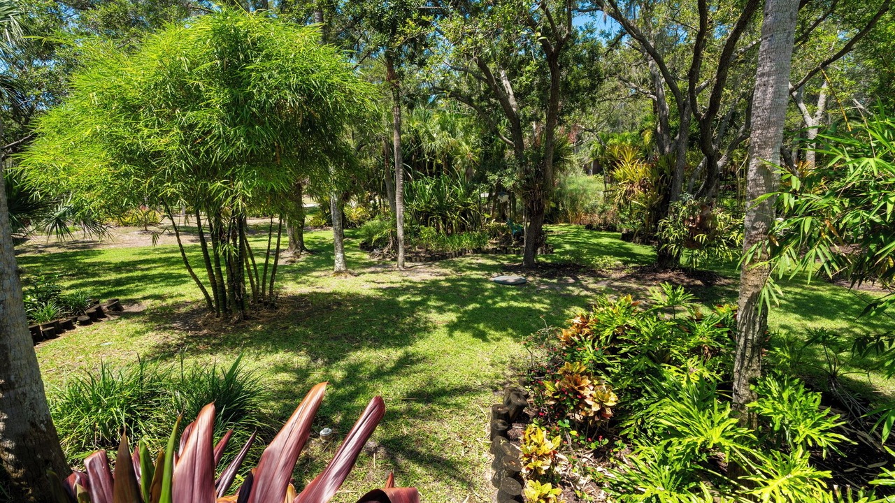 Photo of Outdoor in South Sarasota