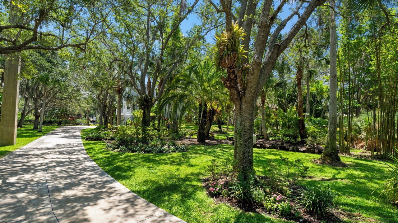 Photo of Outdoor in South Sarasota