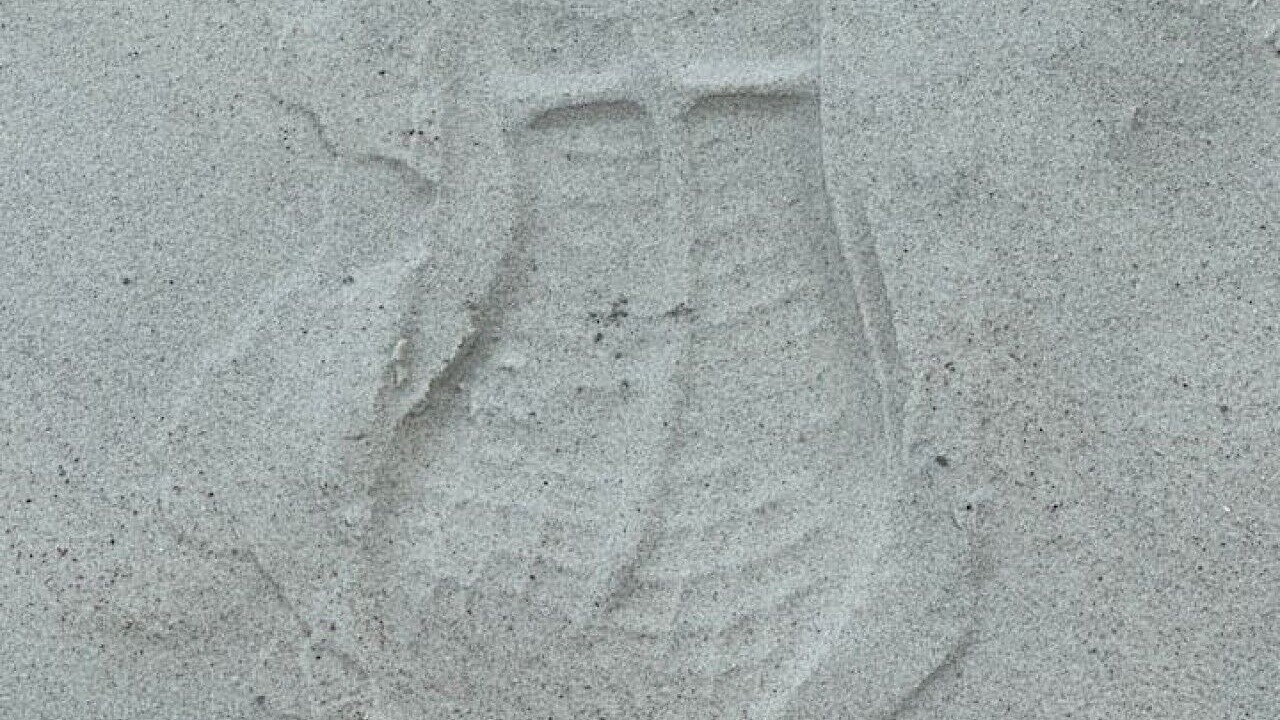 Photo of Others in Ponce Inlet