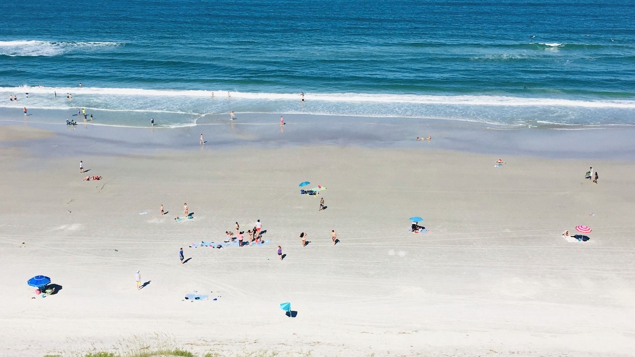 Photo of Others in Jacksonville Beach