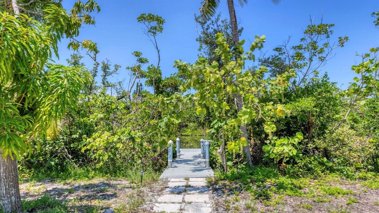 Photo of Outdoor in Palm Island