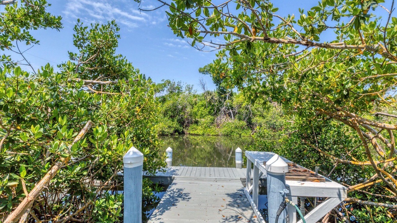 Photo of Outdoor in Palm Island