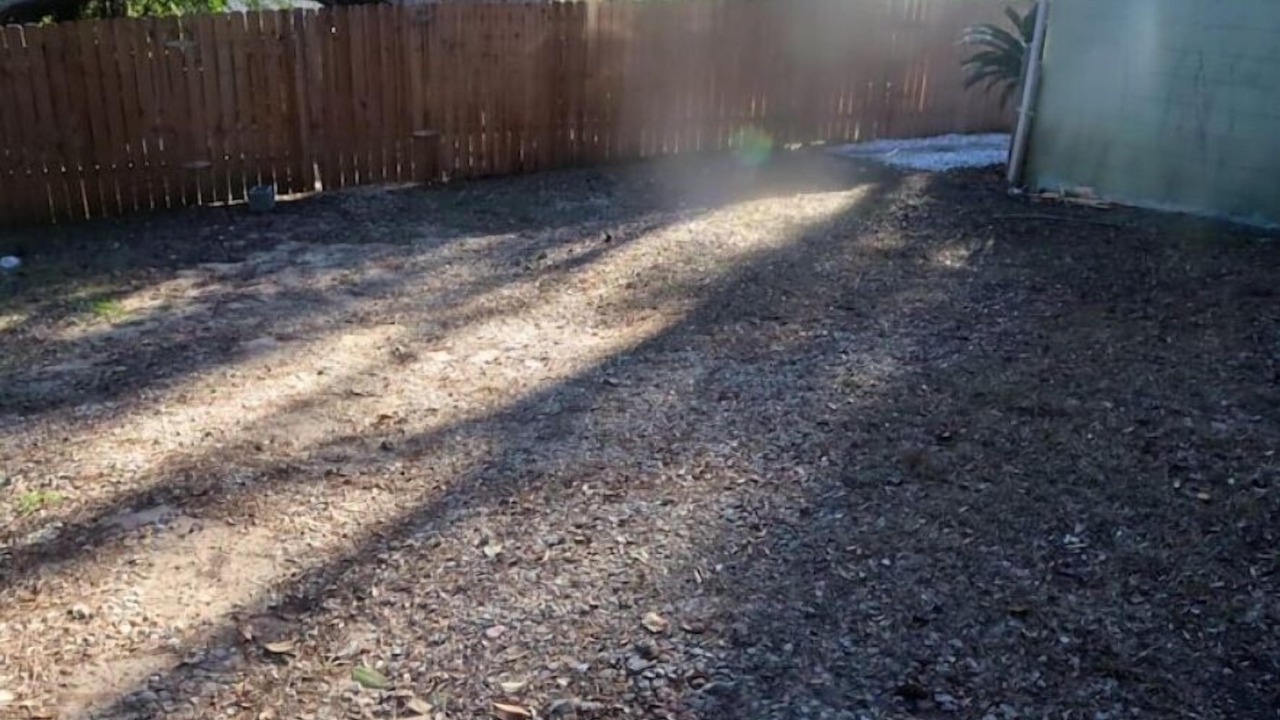 Photo of Outdoor in Tallahassee