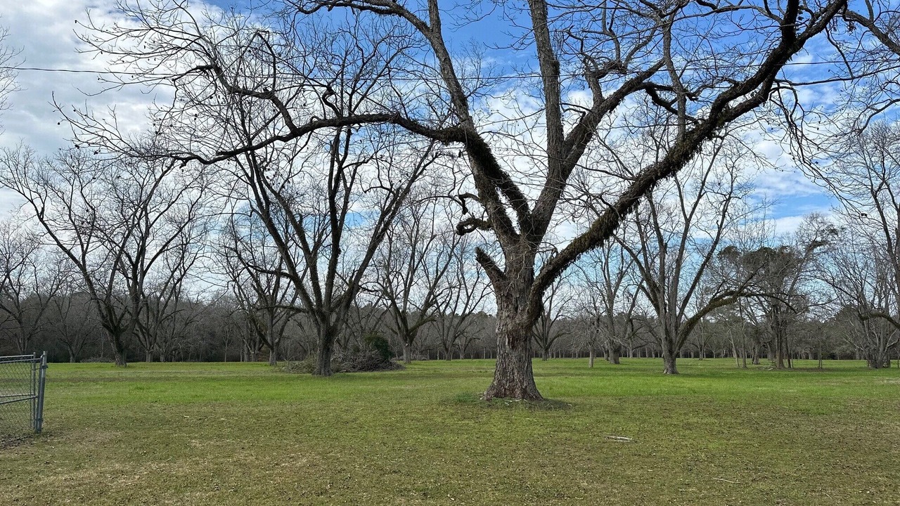 Photo of Others in Ochlocknee