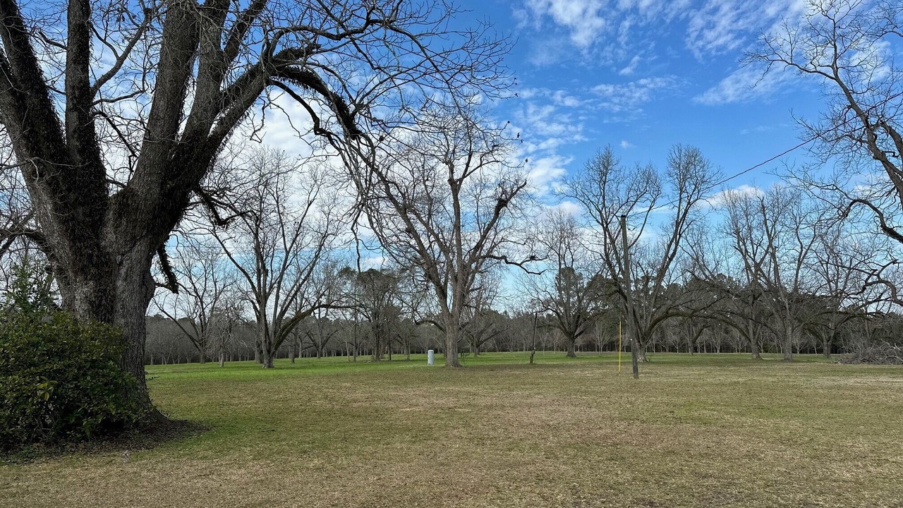 Photo of Others in Ochlocknee