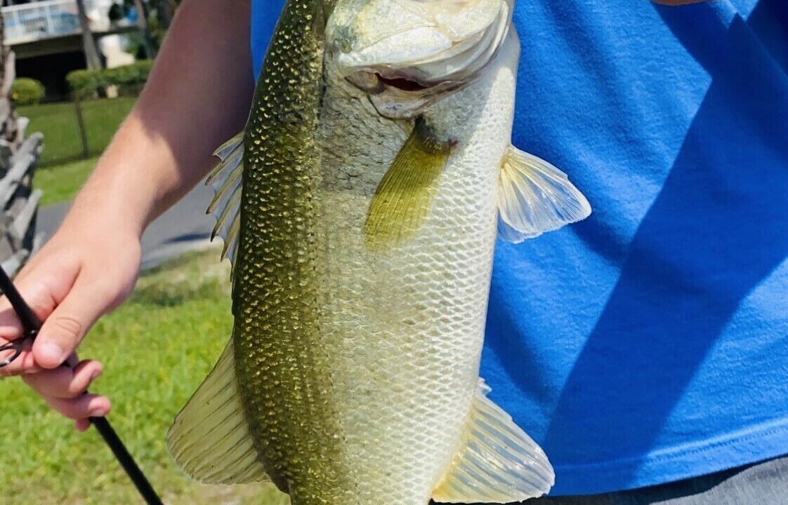 Photo of Outdoor in Destin