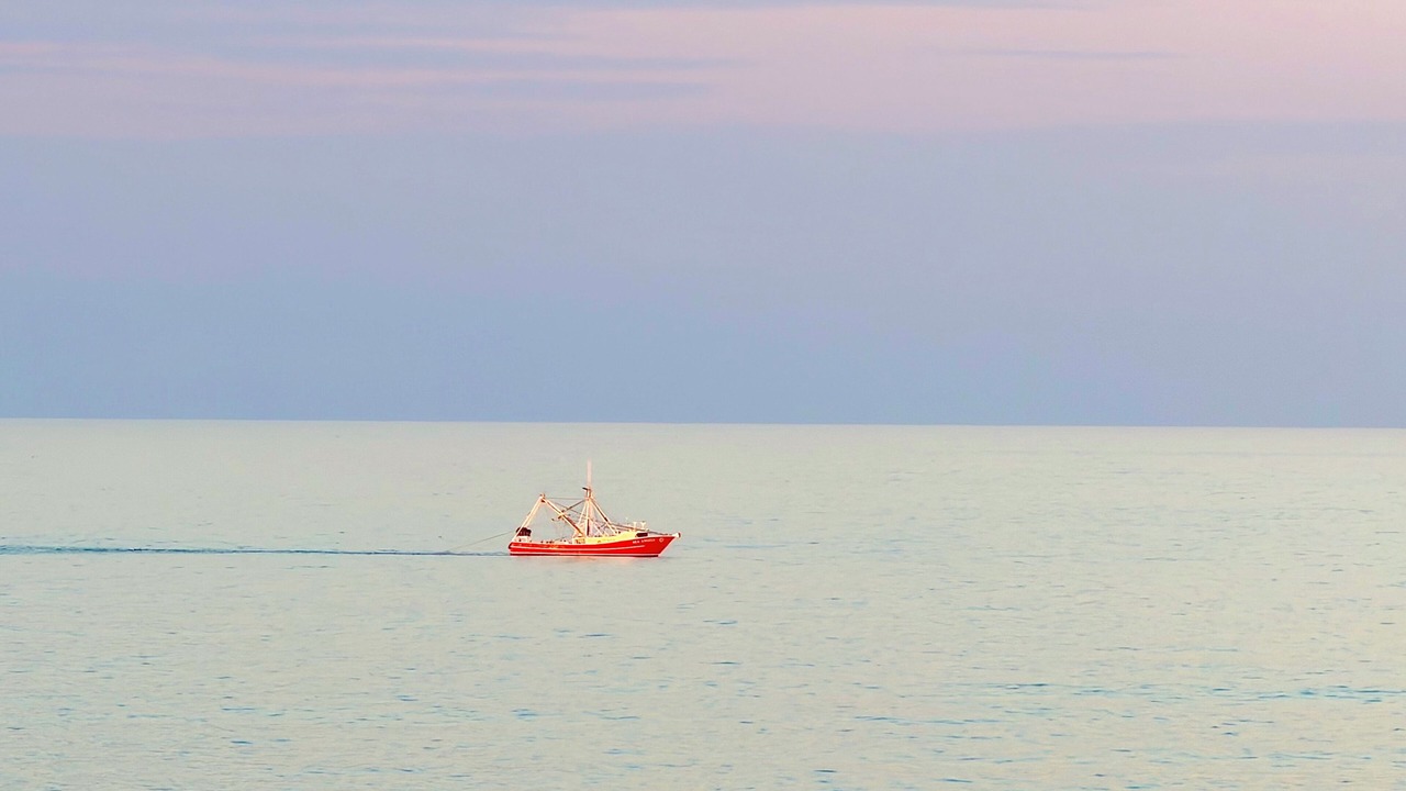 Photo of Others in Ormond-by-the-Sea