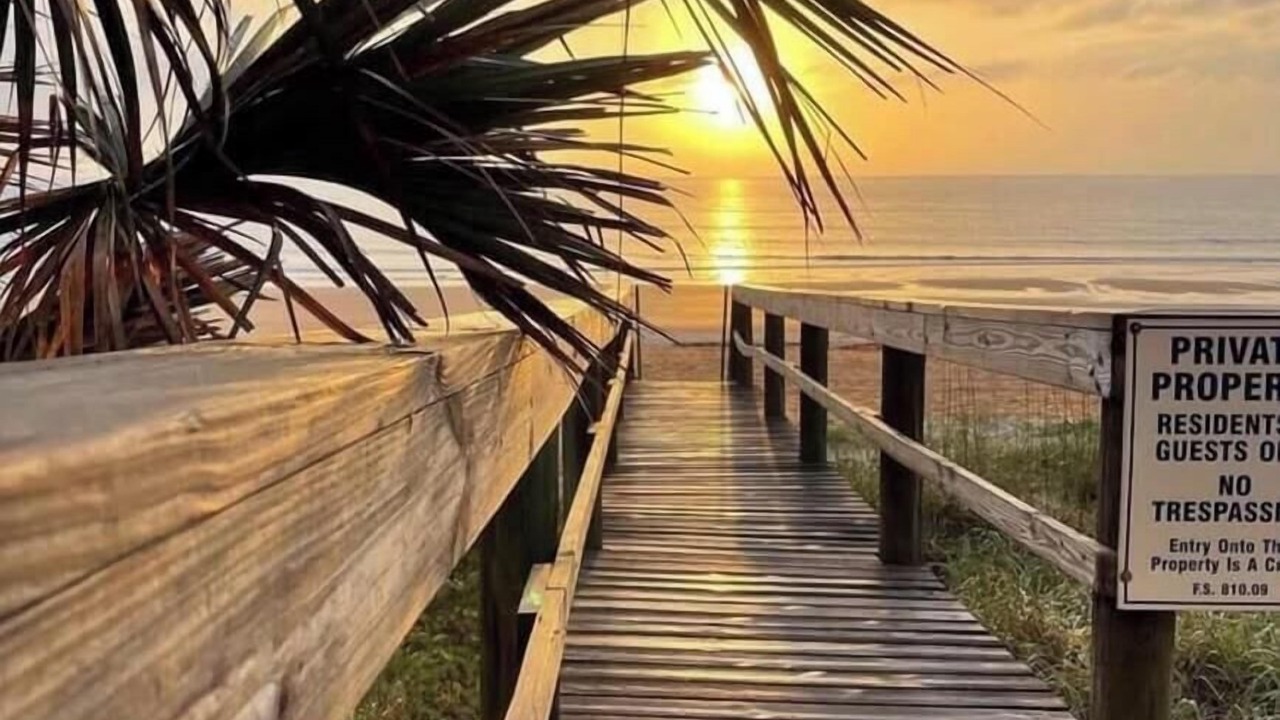 Photo of Others in Ormond-by-the-Sea