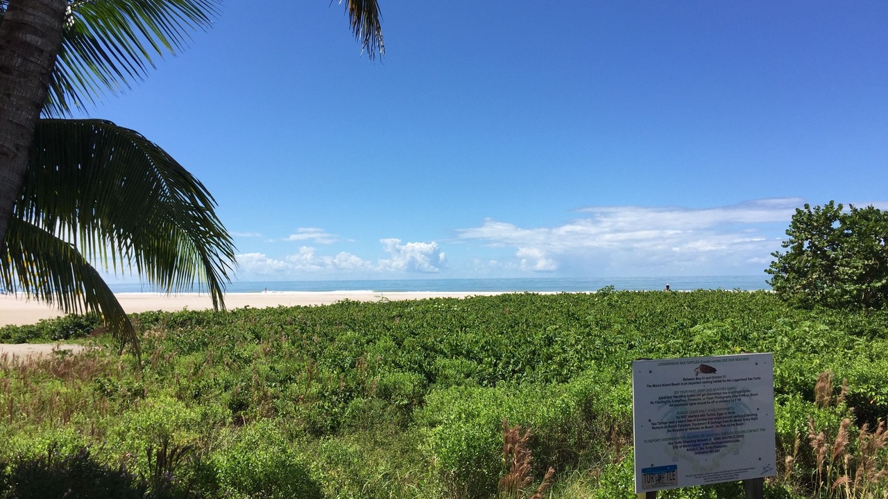 Photo of Others in Marco Island