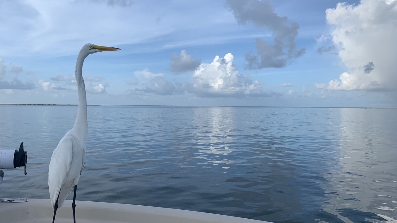 Photo of Others in Marco Island