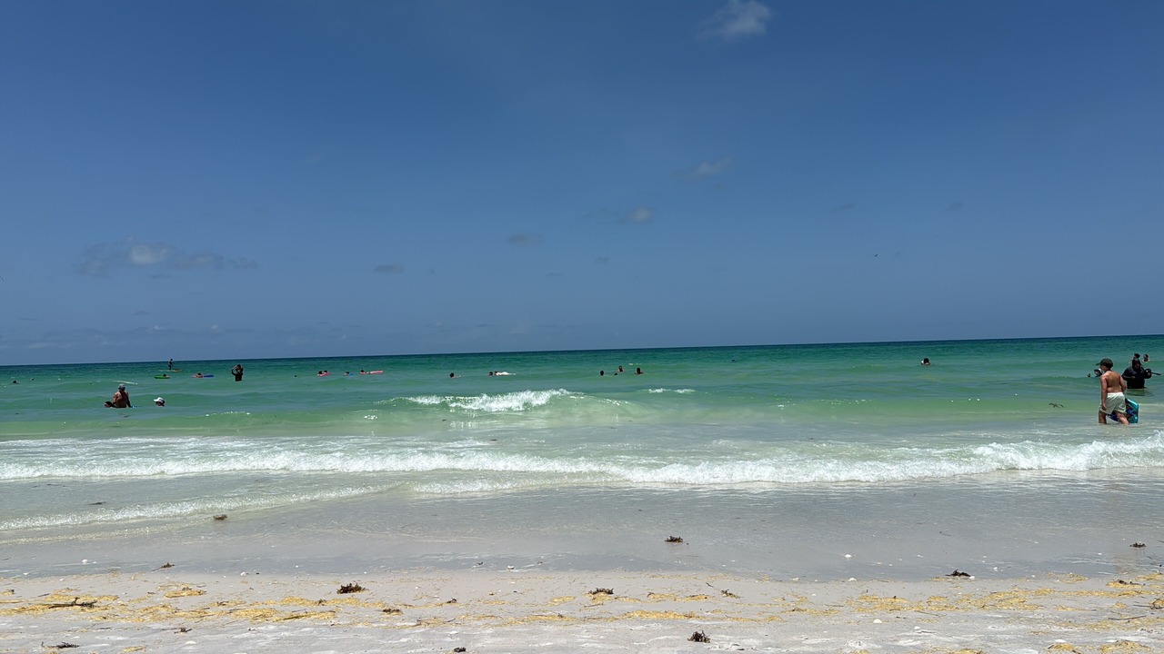 Photo of Others in Siesta Key