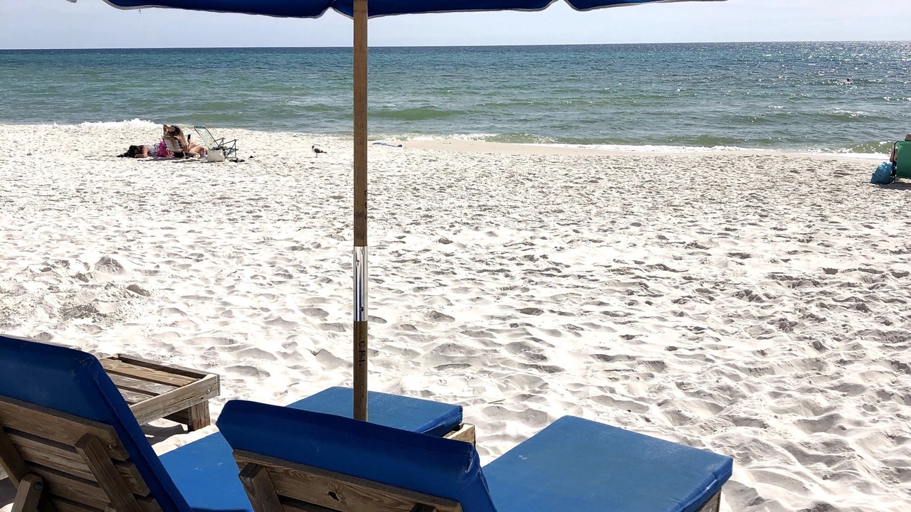 Photo of Others in West Panama City Beach