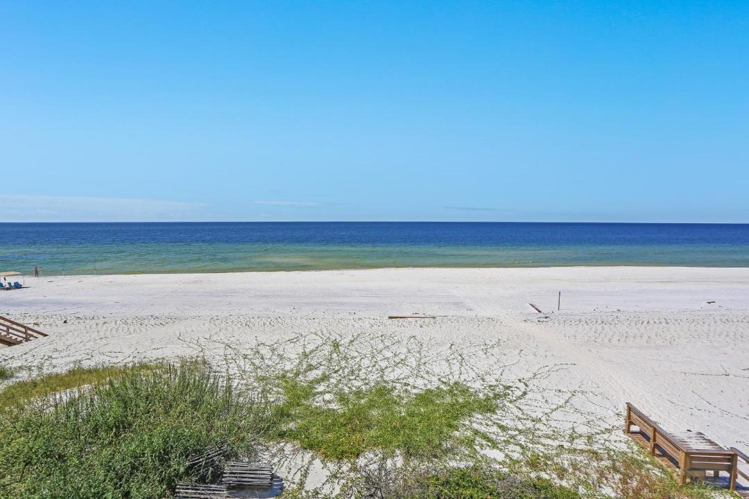 Photo of Others in Cape San Blas
