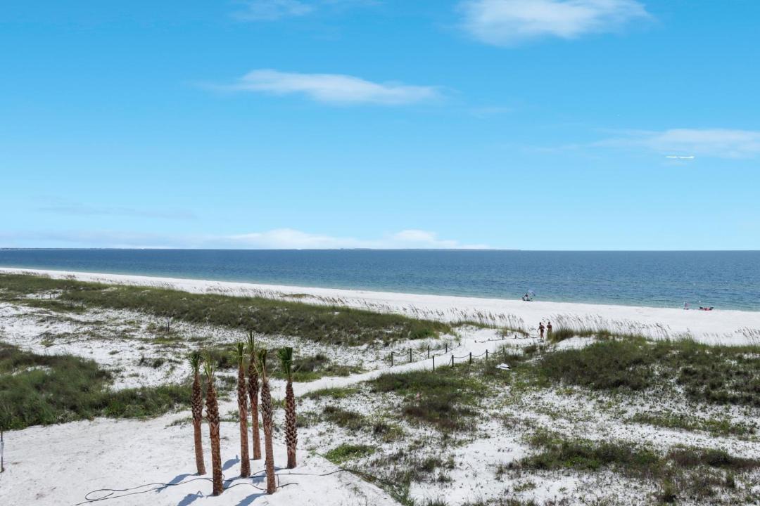 Photo of Others in Mexico Beach