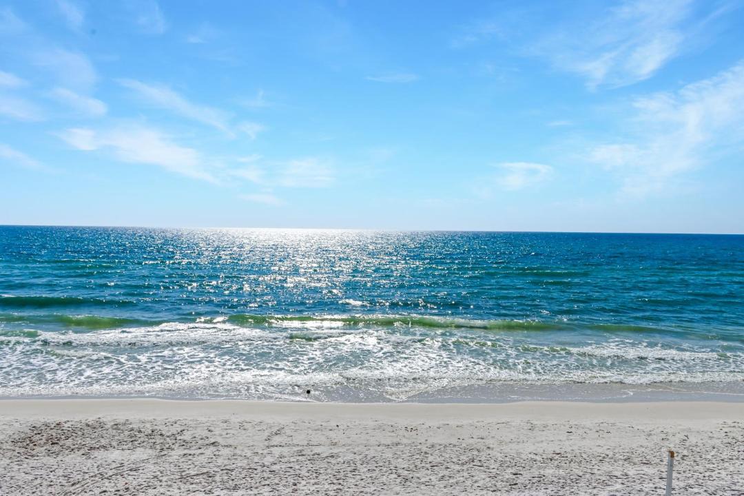 Photo of Others in Cape San Blas