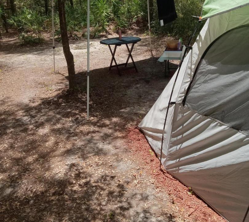 Photo of Outdoor in Chiefland