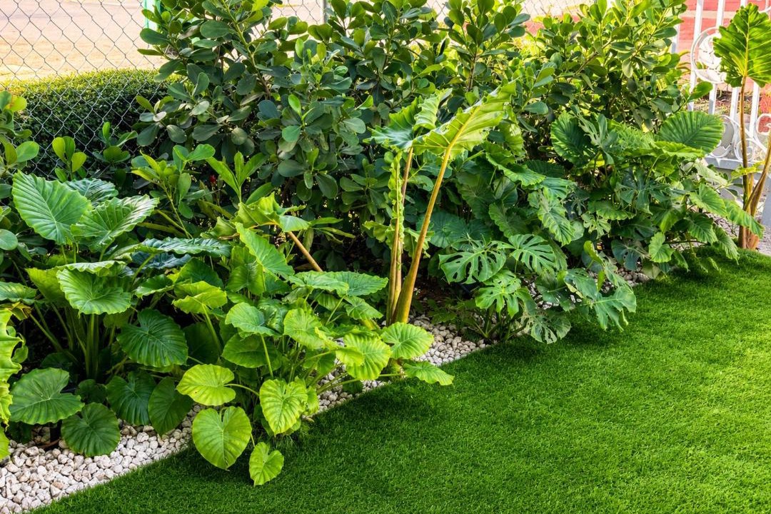 Photo of Outdoor in Tamiami