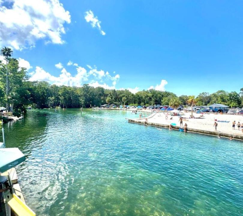 Photo of Others in Weeki Wachee Gardens