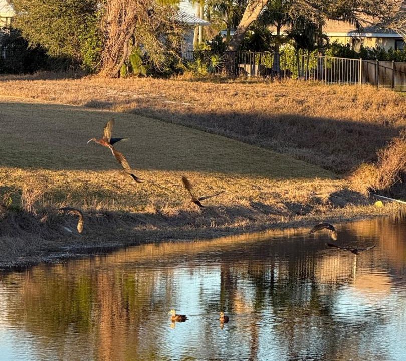 Photo of Others in Pinehurst