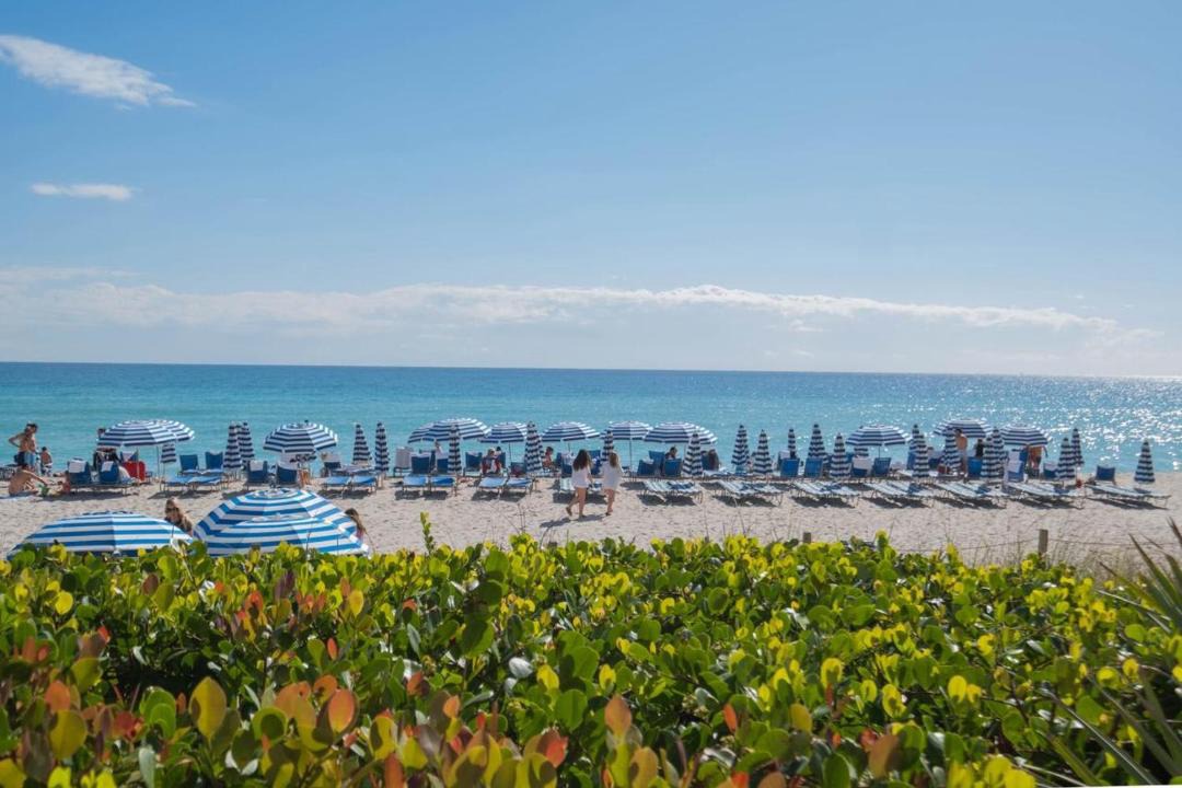 Photo of Others in Hallandale Beach