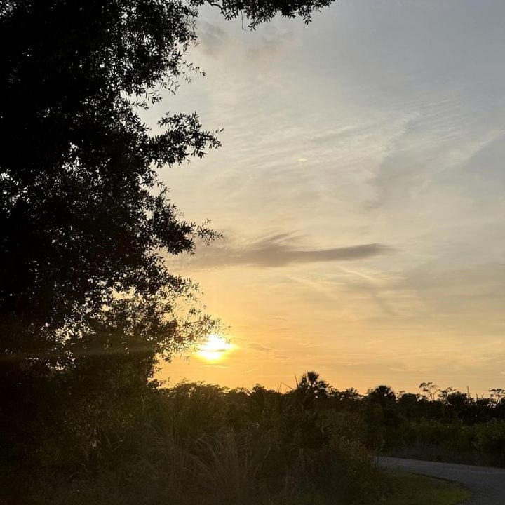 Photo of Others in Braden River