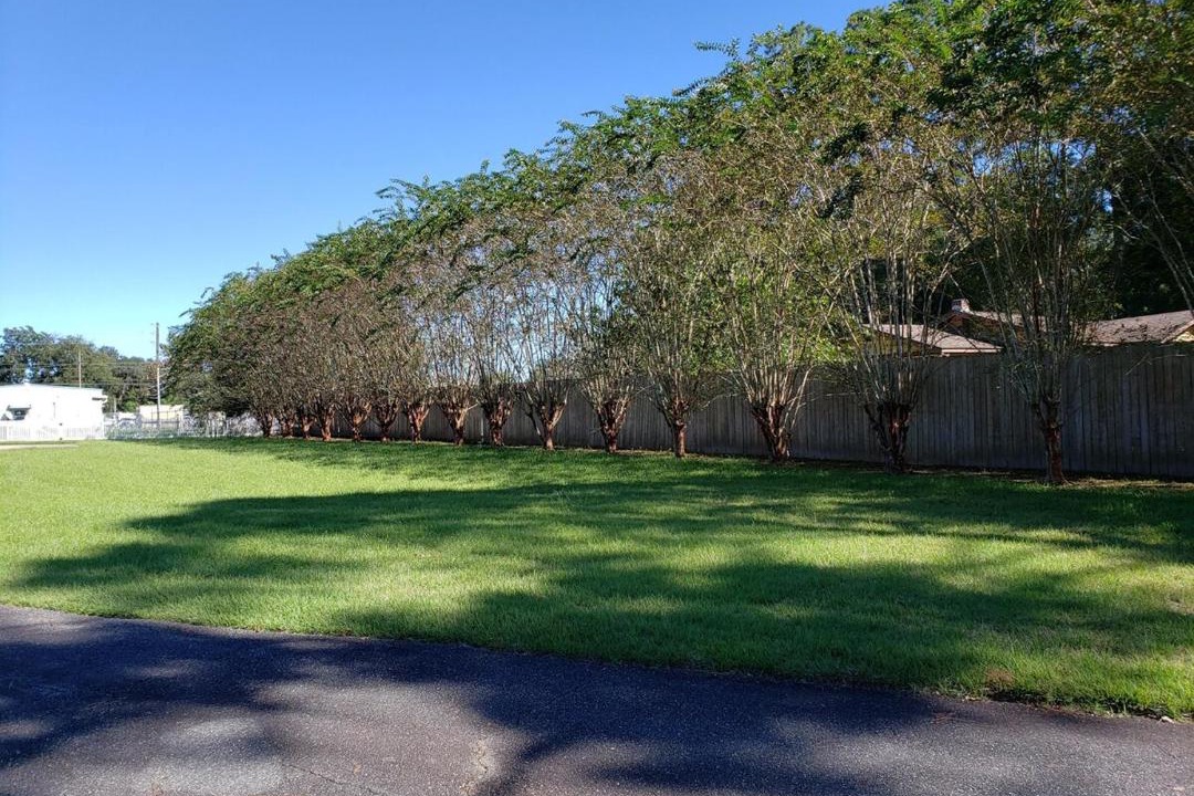 Photo of Outdoor in Monticello