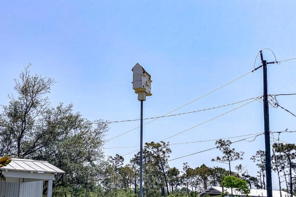 Photo of Outdoor in Port St. Joe