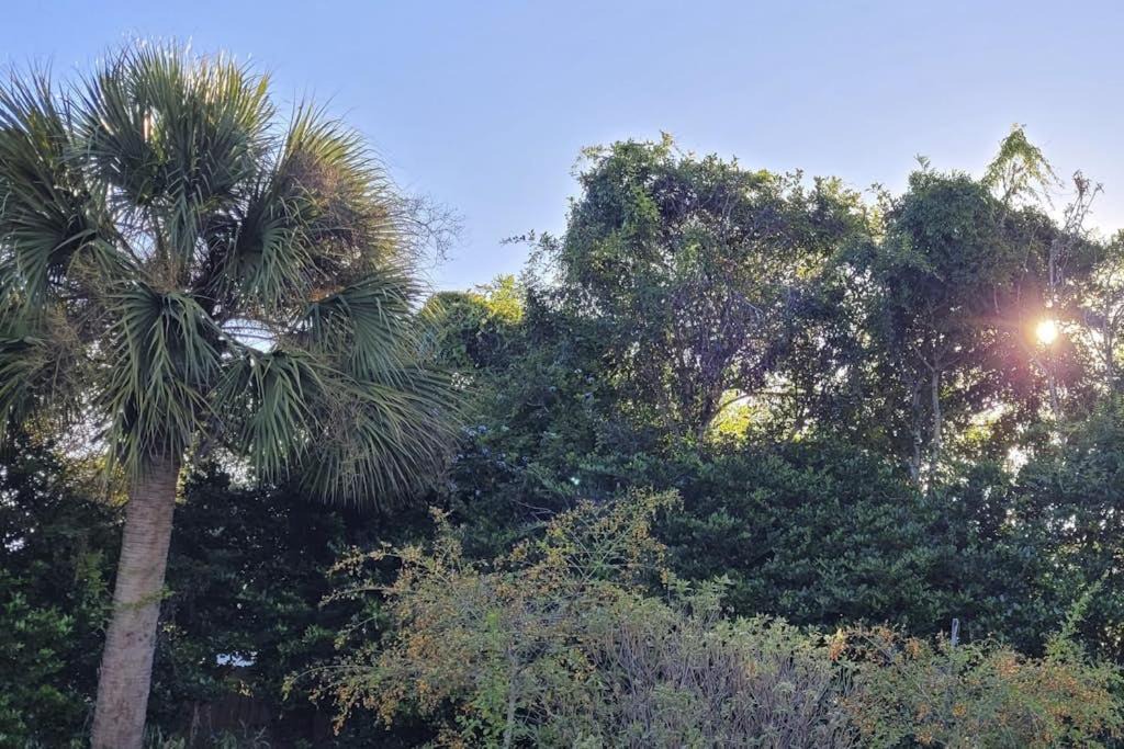 Photo of Others in Thomas Drive