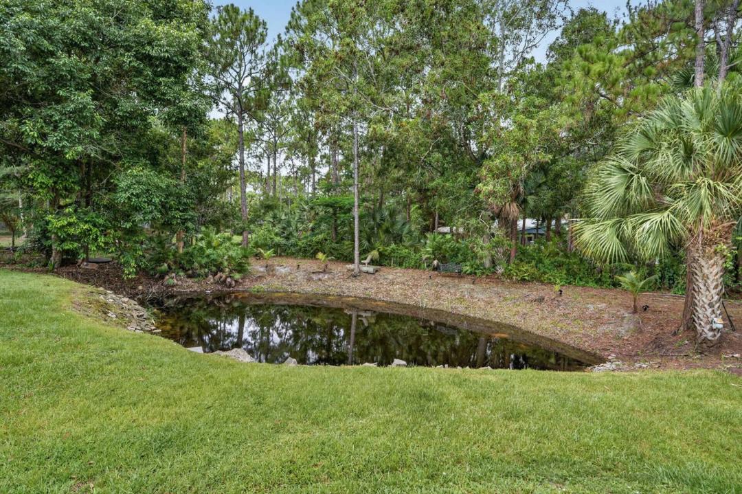 Photo of Others in Jupiter Farms