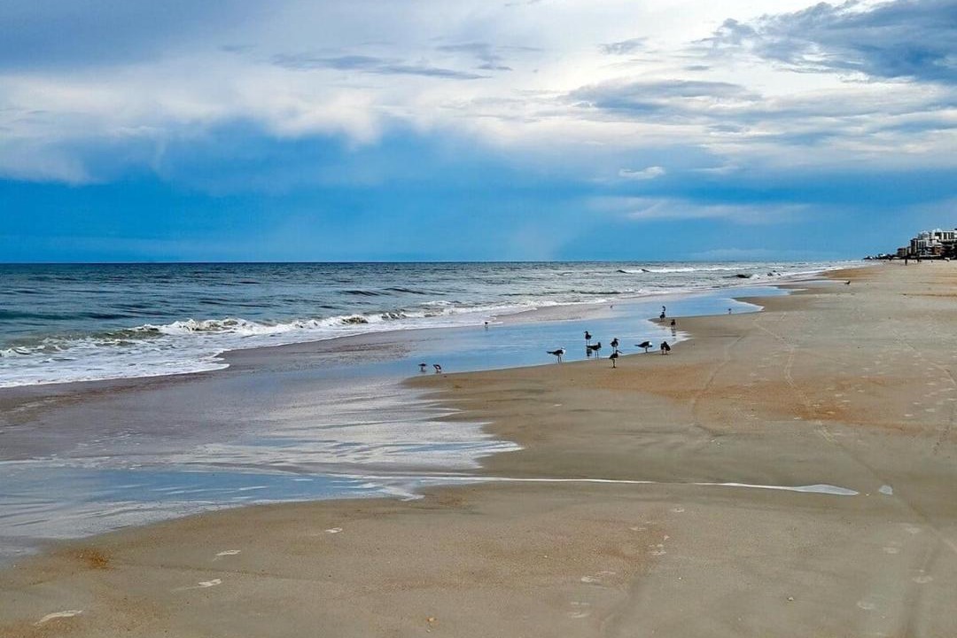 Photo of Others in New Smyrna Beach