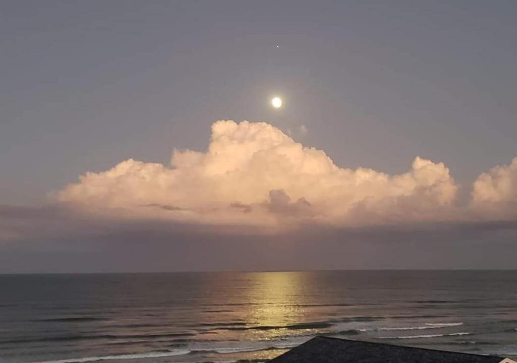 Photo of Others in New Smyrna Beach