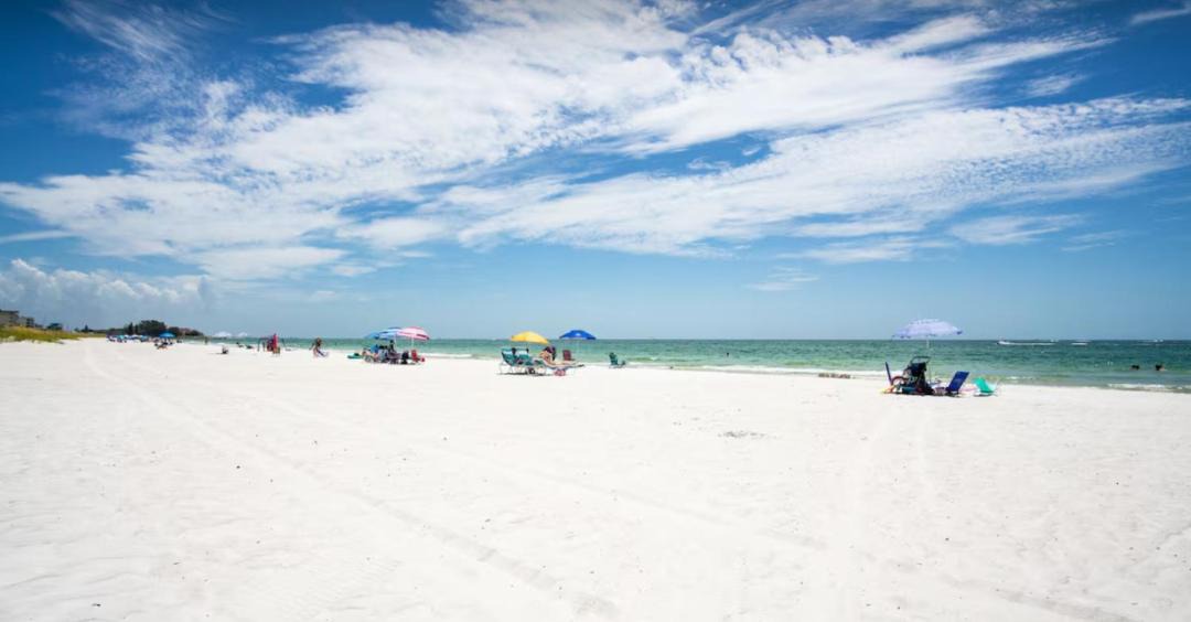 Photo of Others in Madeira Beach