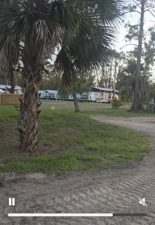 Photo of Others in Steinhatchee
