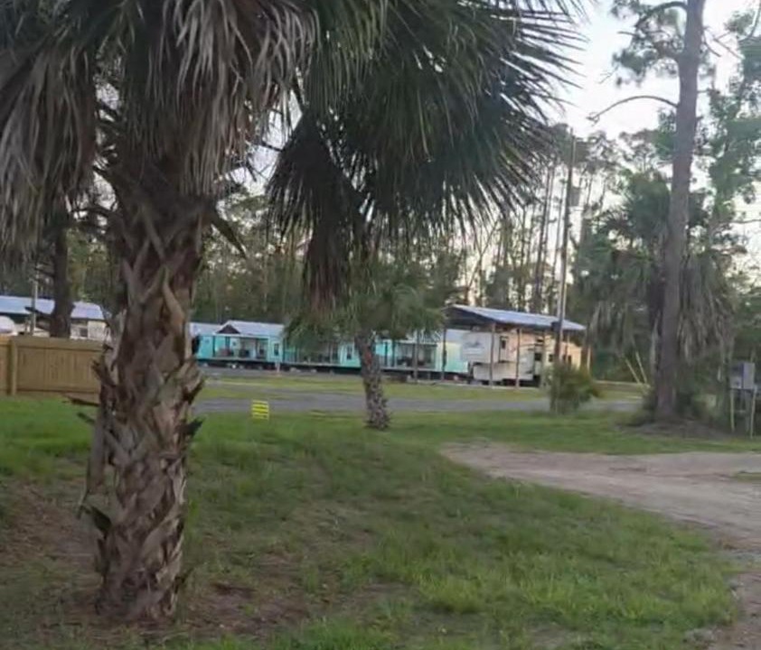 Photo of Others in Steinhatchee