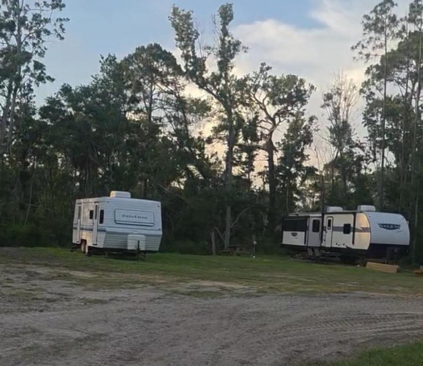 Photo of Others in Steinhatchee