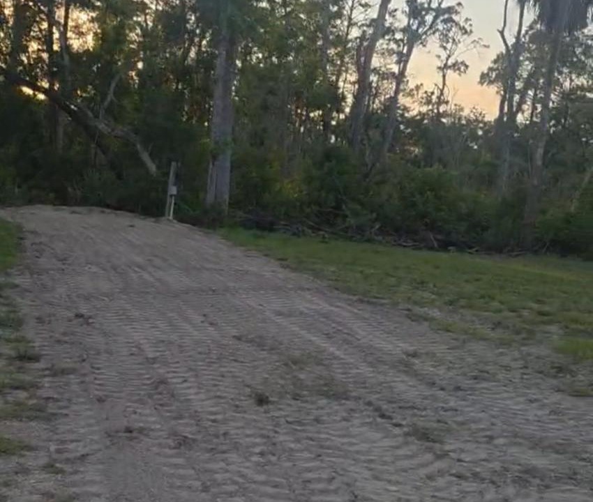 Photo of Others in Steinhatchee