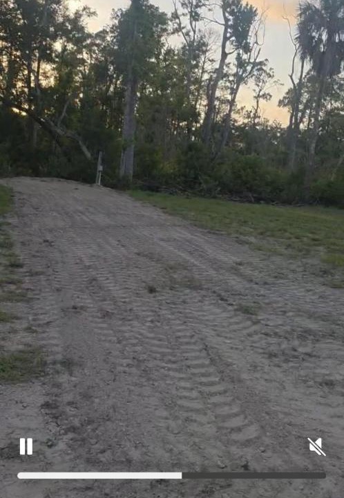 Photo of Others in Steinhatchee