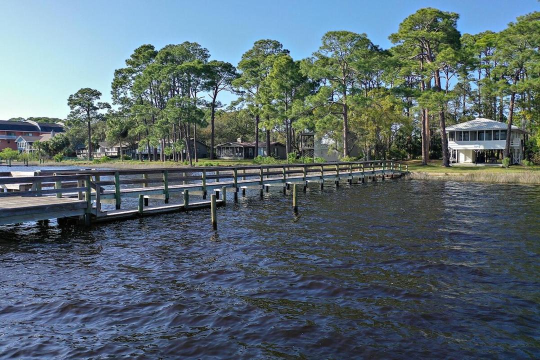 Photo of Others in Ochlockonee Bay