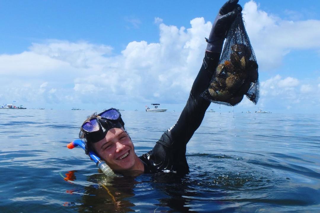 Photo of Others in Crystal River