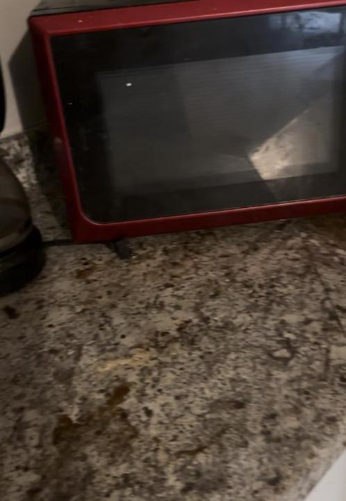 Photo of Kitchen in Northwest Orlando