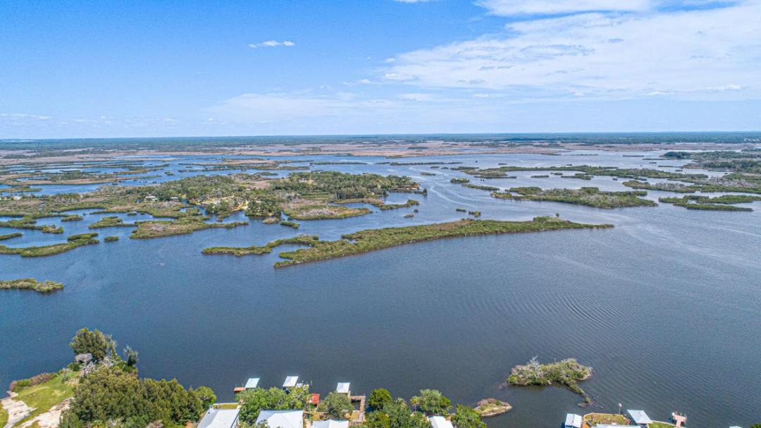 Photo of Others in Crystal River