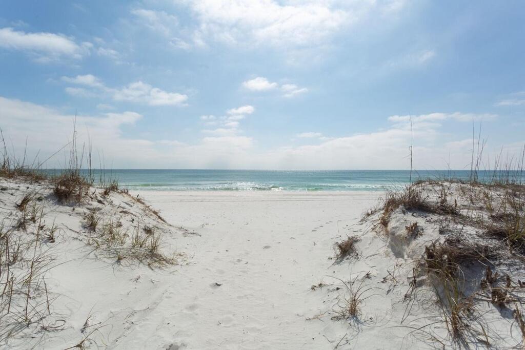 Photo of Others in Pensacola Beach