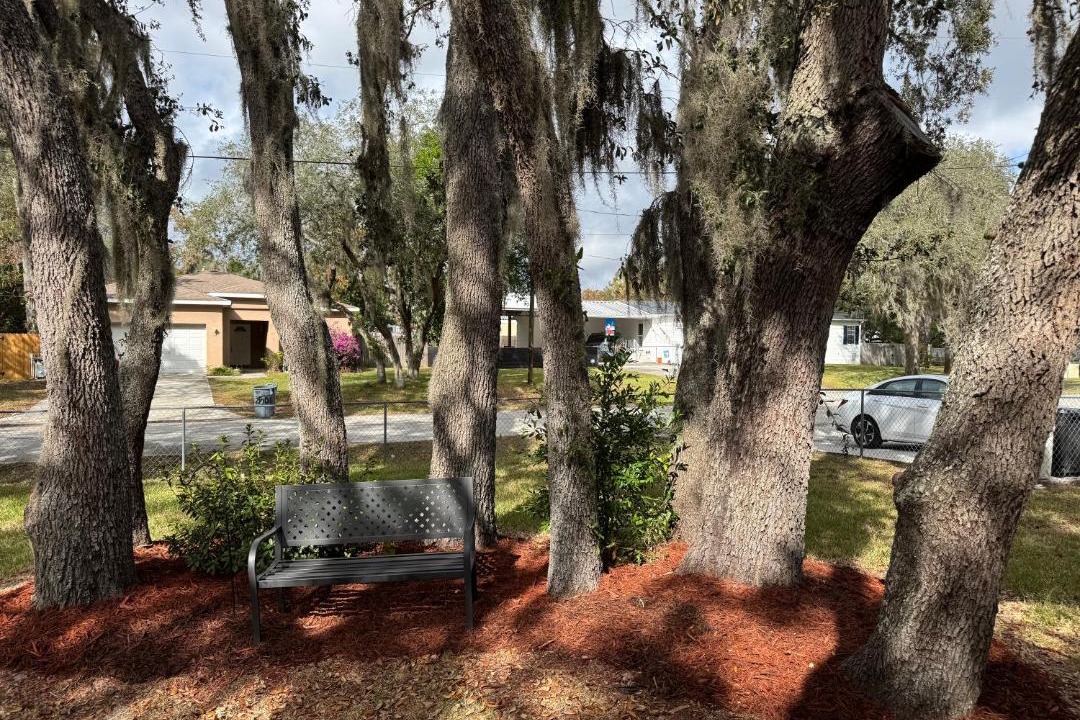 Photo of Others in Moon Lake Estates