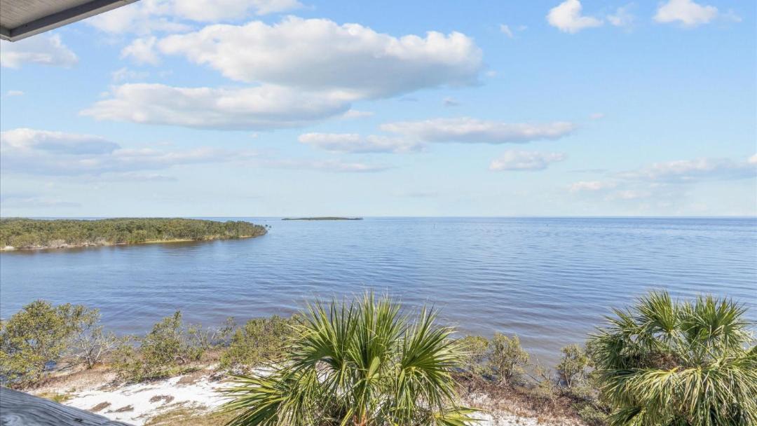 Photo of Others in Cedar Key
