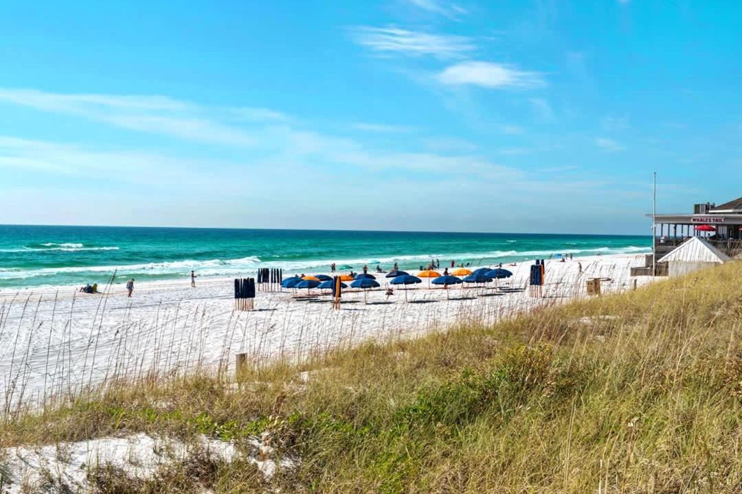Photo of Others in Miramar Beach