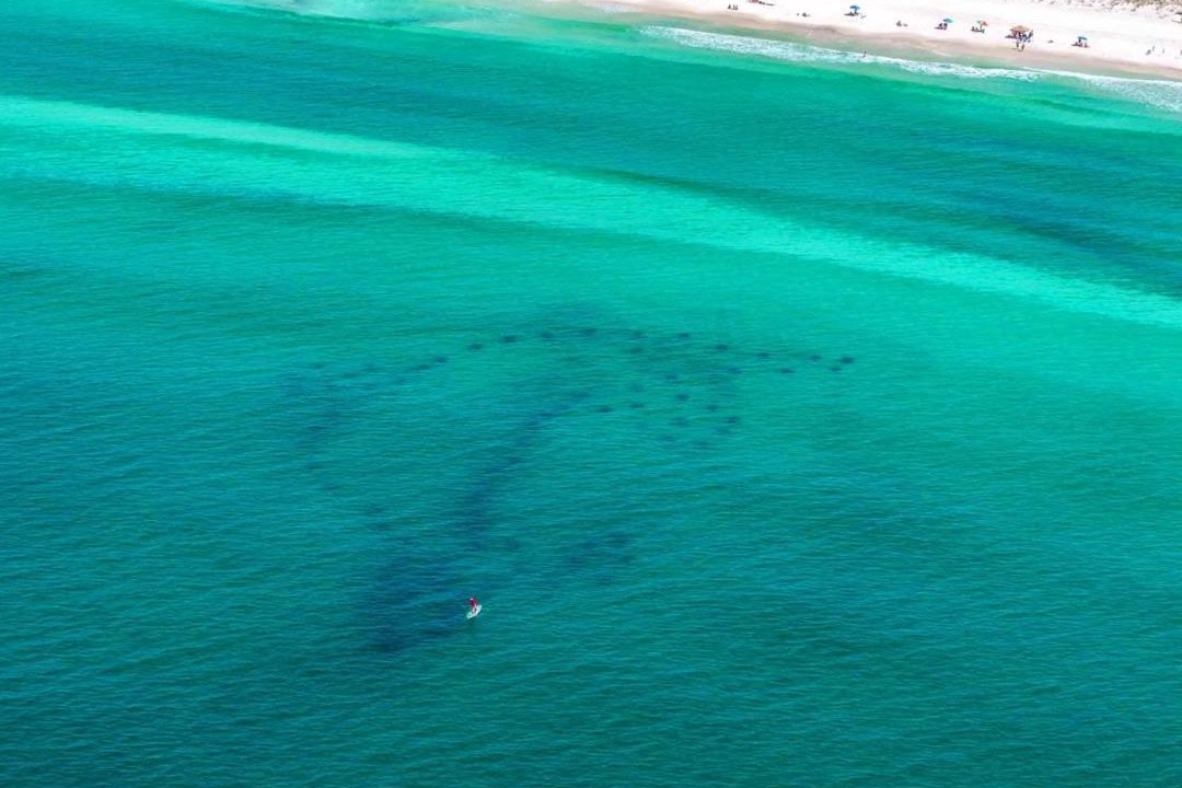 Photo of Others in Miramar Beach